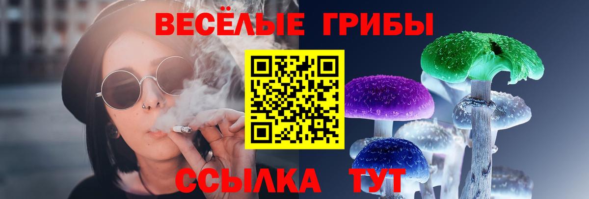 Псилоцибиновые грибы прущие грибы Новотроицк